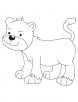 Lion cub coloring page