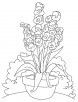 Long gladiolus flower coloring page