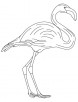 Long legged flamingo coloring page