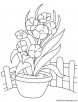 Long orchid flower vase coloring page