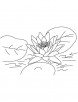 Lotus flower in river coloring page