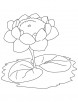 Lotus with two leaves coloring page