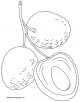 lychee Coloring Page