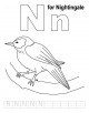 Letter Nn printable coloring page
