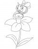 Daffodil Coloring Page