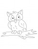 Owl at night coloring page