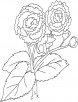 Pair of blossoms coloring page