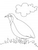 A hungry partridge coloring page
