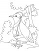 A happy partridge listening to music coloring page