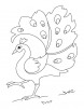 A dancing peacock coloring page