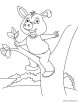 Pig on a tree coloring page