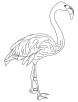Pink wing feathers bird coloring page