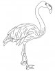 Flamingo Bird Coloring Page