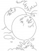 Two plum coloring pages