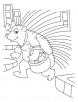 Porcupine a quill pig coloring pages