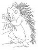 Flower loving porcupine coloring pages
