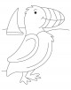 Puffin Bird Coloring Page