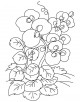Sweet Pea Flower Coloring Page