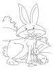Rabbit and Kit coloring page