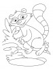 Raccoon a washer dog coloring pages
