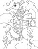 Box seahorse coloring pages