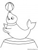 Seal balancing ball coloring page