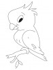 shy parrot coloring page