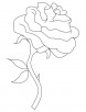 Single rose coloring page