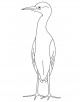 Egret Bird Coloring Page