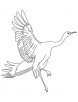 Small rodents eating crane coloring page