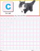 Small Letter Writing Practice Worksheet