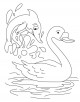 Swan Coloring Page