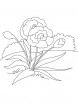 Symbol of socialism coloring page