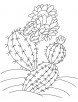 The cactus coloring page