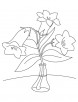 Three bellflower coloring page