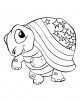 Tortoise Coloring Page