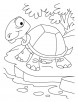 Thirsty tortoise coloring pages