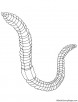 Tube shaped earthworm coloring page