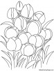 Tulip flowers coloring page