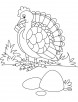 Beautiful turkey coloring pages