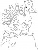 Curious turkey coloring page