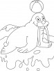 Ball on walrus terrace coloring pages