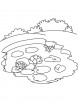 Water lily in pond coloring page
