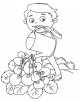 Sweet Pea Flower Coloring Page