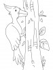 Powerful woodpecker coloring pages