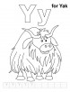 Y for yak coloring page with handwriting practice