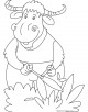 Yak Coloring Page