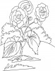 Yellow begonia coloring page