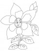 Yellow columbine flower coloring page
