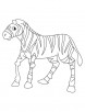 Zebra foal coloring page